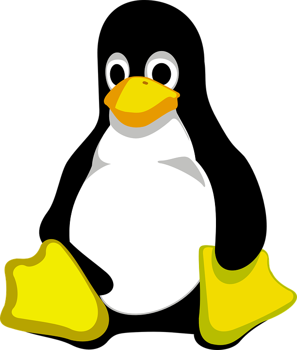 fundacion Linux