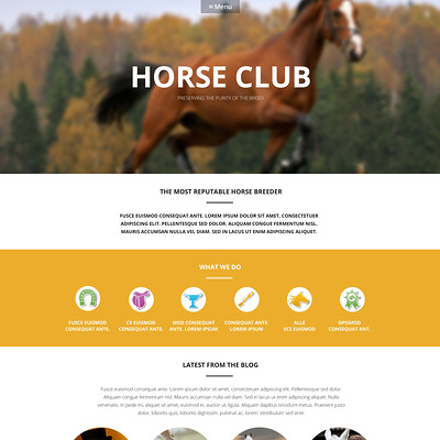 Luxury Horse Breed Care