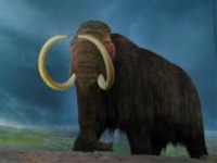 ADN de mamut