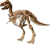 Esqueleto de dinosaurio
