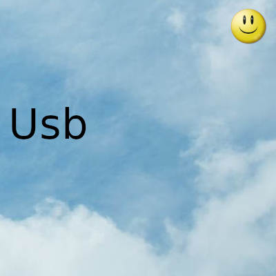 Error de formato de dispositivo USB en Windows
